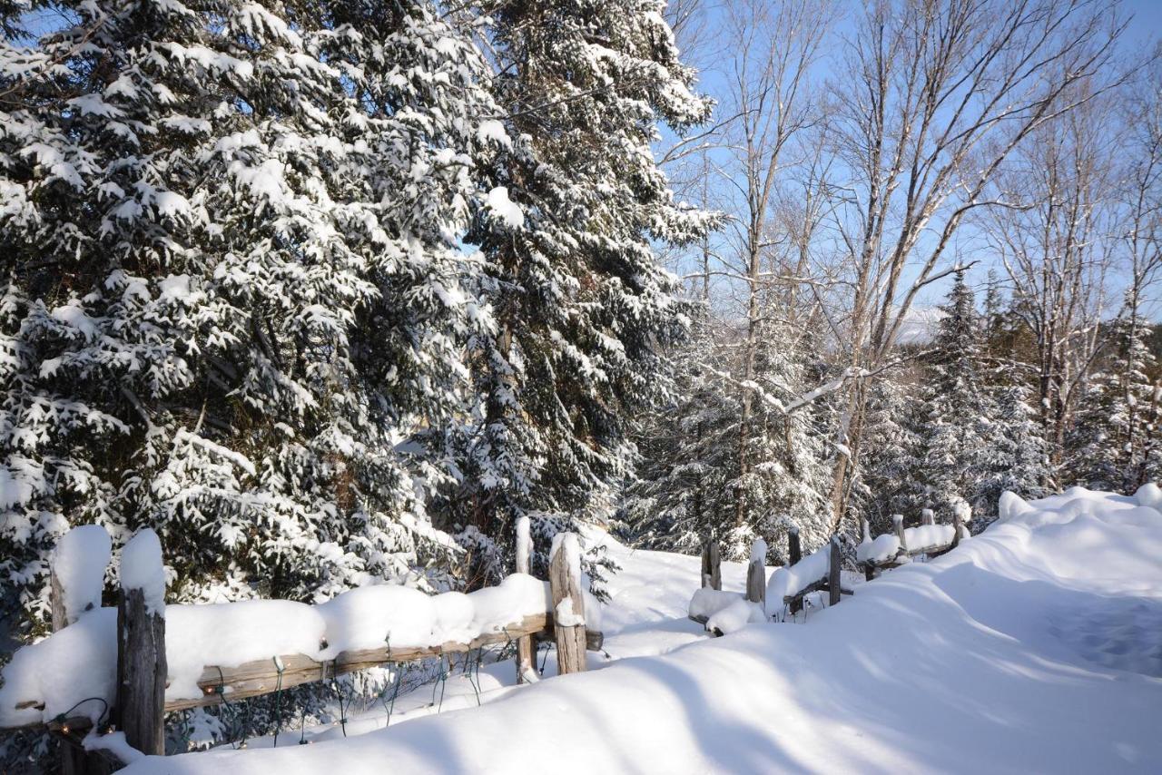 Jardin Du Village By Chez Tremblant มงต์-ทร็องบล็องต์ ภายนอก รูปภาพ